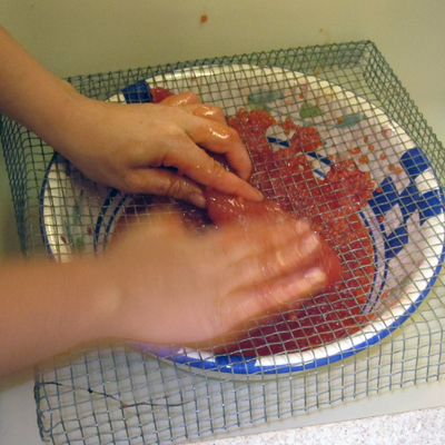 Pushing Salmon Eggs Through the Mesh