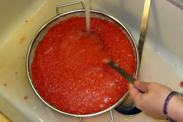 Rinsing Salmon Eggs