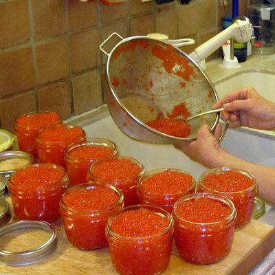 Filling Jars with Salmon Caviar