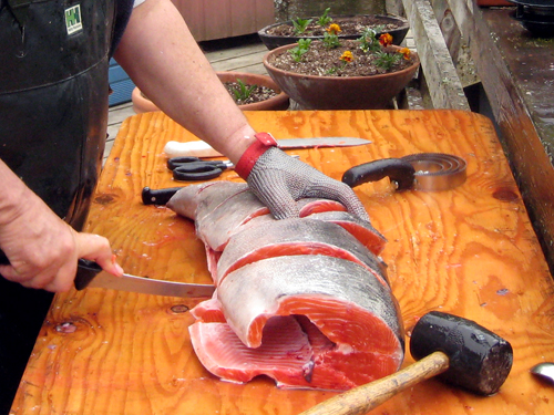 Sectioning the Salmon