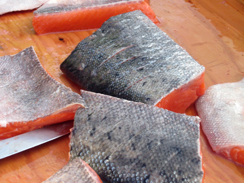 Scored Salmion Fillets