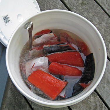 King Salmon Fillets in Brine