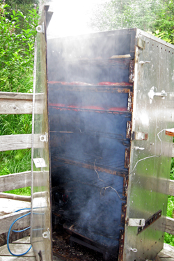 Smoking King Salmon Fillets